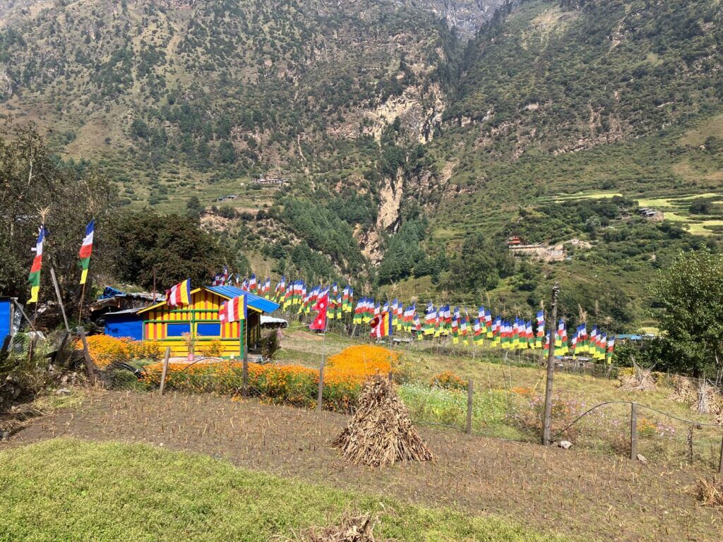 picture taken on 20th march 2025 during trekking around manaslu circuit with flags shuttering and green views