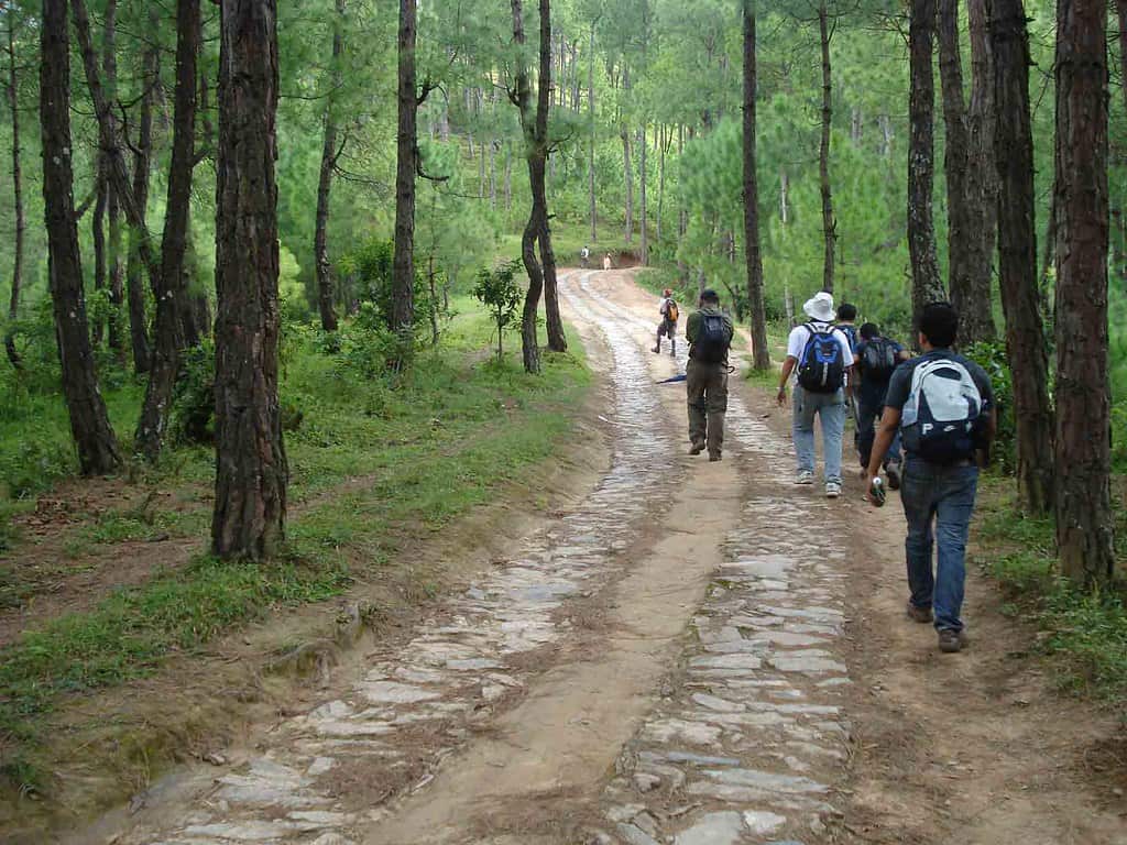 Champadevi day hike from Kathmandu