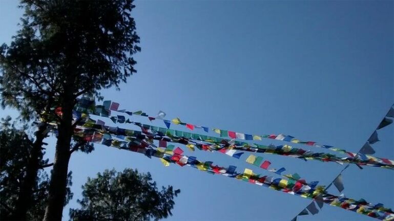 Champadevi Day Hike | Kathmandu Day Trip