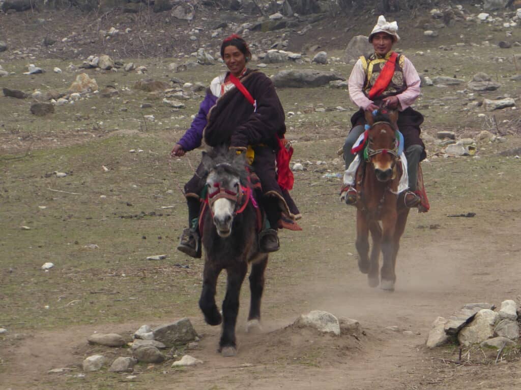 manaslu circuit trek horse riders