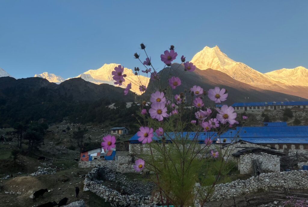 manaslu circuit trek 2025